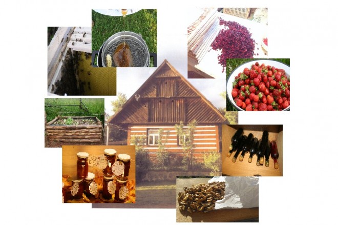 Chalupa s aktivitama.jpg